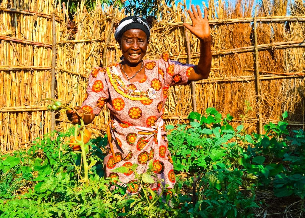 Rosebey Benga created her first Victory Garden in March 2018 right after the training from The Face-to-Face Project and is now able to feed her mother and two grandchildren with help from her garden! She managed to earn k4,000 ($5) from selling tomatoes, and used the money to buy a piece of fabric and floor mat to sleep on.   In addition to selling vegetables, Rosebey and her family are eating vegetables from the second generation of her Victory Garden. Rosebey reported that she and her family used to sleep on the floor and would often go to bed on empty stomachs. Rosebey has said she is “very thankful for the Victory Garden program because she is not struggling anymore.”